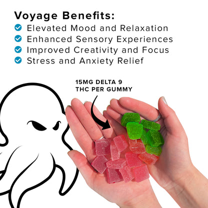 Voyage 3 Pack